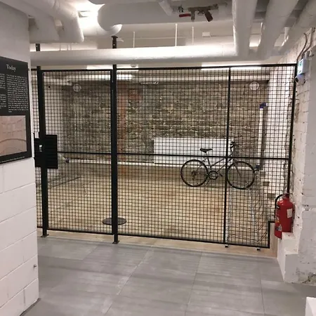 Modern Luxury Loft شقة تالين