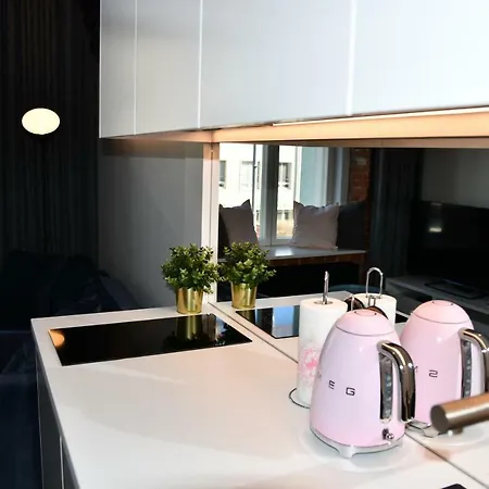 شقة Modern Luxury Loft تالين