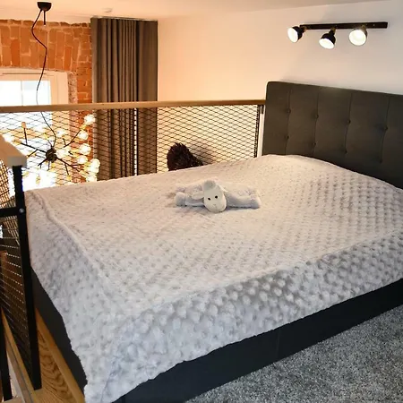 Modern Luxury Loft شقة تالين